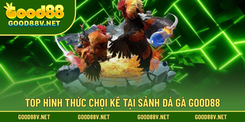 Các hình thức chọi gà nổi bật tại sảnh đá gà
